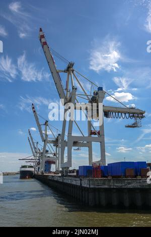 Cranes at a terminal in the cargo port of Hamburg against a blue sky with cirrus clouds, concept for transport, shipping and logistics, copy space, se Stock Photo