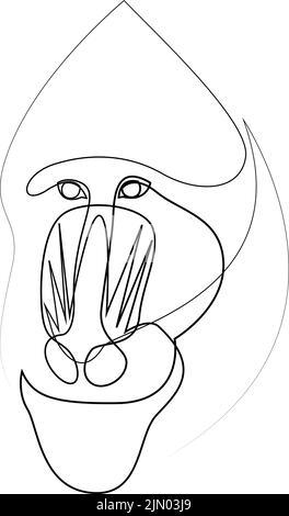 One single line drawing of baboon head. Continuous line style graphic design. Vector illustration. Stock Vector