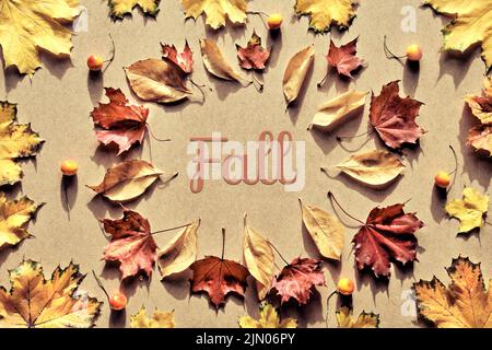 Dry Atumn leaves and pumpkin on cardboard background. Word Fall in the center. Direct sunlight, long shadows. Stock Photo