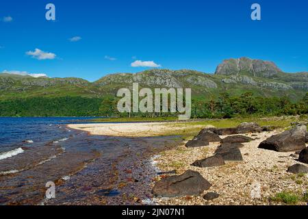 SLIOCH MOUNTAIN WESTER ROSS SCOTLAND IN SUMMER THE SHORELINE OF LOCH MAREE AND SCOTS PINE TREES Stock Photo