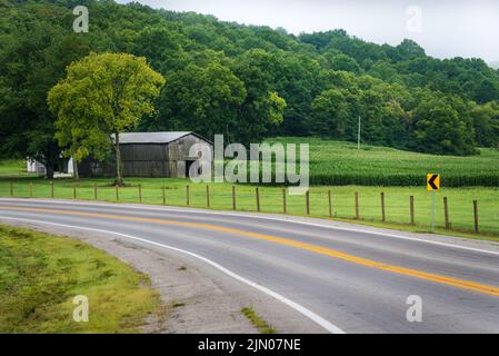 Cornfield and Barn - Monterey - Kentucky Stock Photo