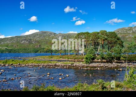 SLIOCH MOUNTAIN WESTER ROSS SCOTLAND LOCH MAREE IN SUMMER SCOTS PINES ON AN ISLAND AND MOUTH OF RIVER GRUDIE Stock Photo