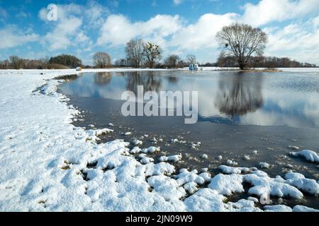 Snow and water on the meadow, trees on the horizon and white clouds on the blue sky Stock Photo