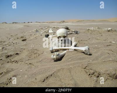 The 'Skeleton Coast', where the Namib Desert meets the Atlantic Ocean in south-western Africa, is named after the bleached bones and shipwrecks. Stock Photo