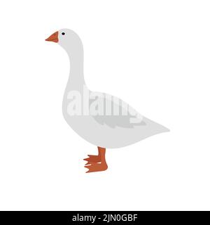 Vector hand drawn flat goose duck isolated on white background Stock Vector