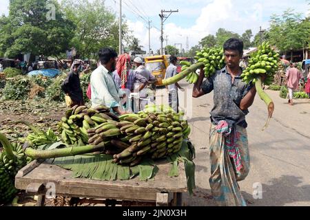 The largest traditional banana market in Bangladesh in Madhupur of Tangail district. Farmers sell these popular fruits directly to wholesalers. Bananas worth 8 lakhs to 10 lakhs are sold daily. August 05, 2022. Photo by Habibur Rahman/ABACAPRESS.COM Stock Photo