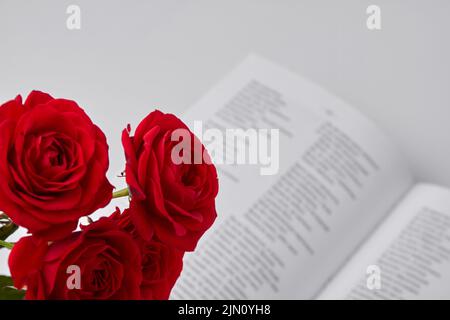 Close up red flowers and open book. Beautiful rose petals. Stock Photo