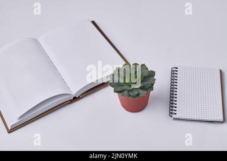 Blank notepads with houseplant on white background. Copy space for text. Stock Photo