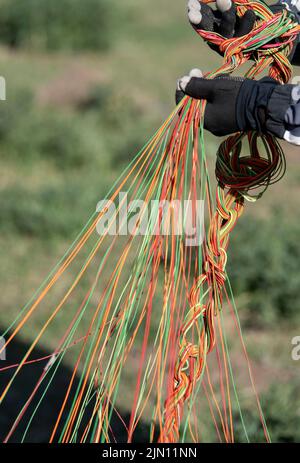 (220808) -- XINJIANG, Aug. 8, 2022 (Xinhua) -- Chen Ruifeng arranges his paraglider lines in Jimsar County, northwest China's Xinjiang Uygur Autonomous Region, May 21, 2022. Born in Xinjiang, 52-year-old Chen Ruifeng is a paragliding amateur. He says he feels like having his own wings when the paraglider opens. In 2016, Chen Ruifeng started to practice paragliding. Later on, he joined a local club and received his flying certificate after training. As an outdoor enthusiast, he also engages himself in trail running, mountaineering and ice climbing. In his opinions, the unique terrain of Xinjian Stock Photo