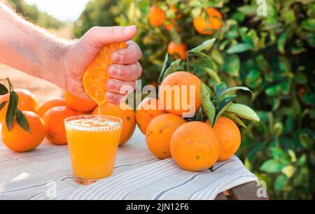 male hand squeezes juice from half orange into glass on table in garden Stock Photo