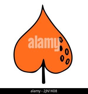 Hello, Autumn. Autumn leaf in doodle style. Hello, Autumn. Design or sticker. Isolated illustration. Vector Stock Vector