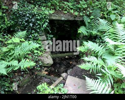 Close up, St. Mary's Well / Ffynnon Santes Fair, Holy Well in Llanrhos, Conwy, Wales, rediscovered during the clear-up in the aftermath of 1993 floods Stock Photo