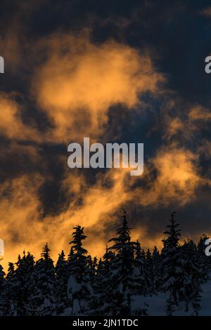 snowy trees against fiery lit up clouds at sunset Stock Photo