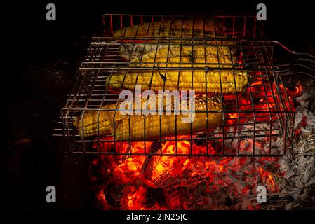 Delicious Grilled Mexican Corn cobs Vegetables On Barbecue Sweetcorn picnic embers charcoal Homemade vegan BBQ  family holiday. hot coals maze Stock Photo