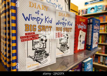 Diary of a Wimpy Kid Books Series