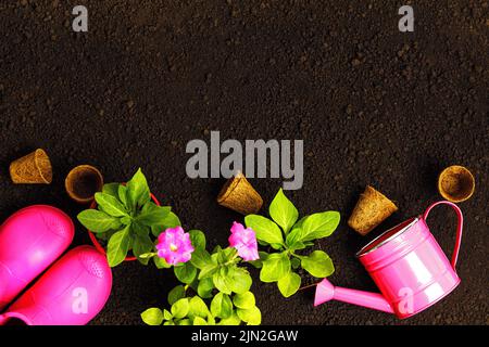 Gardening tools and flower seedlings in pots on the background of the soil. Stock Photo