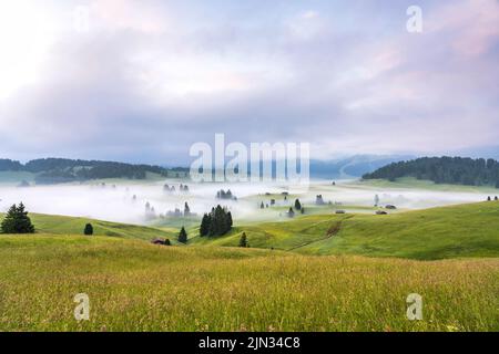 Ethereal green landscape with view of huts and trees on rolling hills and mountains hidden in fog at Sunrise of Alp De Suisi, Dolomites, Italy Stock Photo