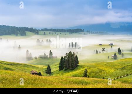 Ethereal green landscape with view of huts and trees on rolling hills and mountains hidden in fog at Sunrise of Alp De Suisi, Dolomites, Italy Stock Photo