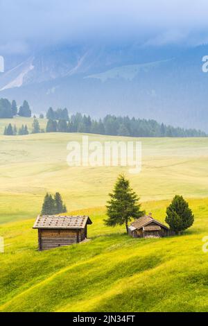 Ethereal green landscape with view of huts and trees on rolling hills and mountains hidden in fog at Sunrise of Alp De Suisi, Dolomites, Italy Stock Photo