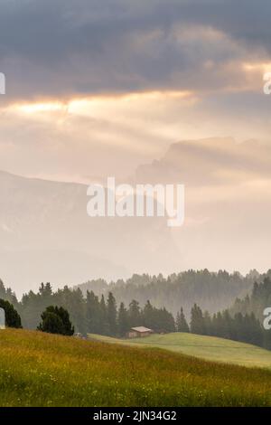 Ethereal green landscape with view of huts and trees on rolling hills and mountains hidden in fog at Sunrise of Alp De Suisi, Dolomites, Italy Stock Photo