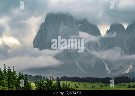 Ethereal green landscape with view of huts and trees on rolling hills and mountains hidden in fog at Sunrise of Alp De Suisi, Dolomites, Italy Stock Photo