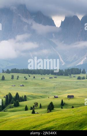 Ethereal green landscape with view of huts and trees on rolling hills and mountains hidden in fog at Sunrise of Alp De Suisi, Dolomites, Italy Stock Photo