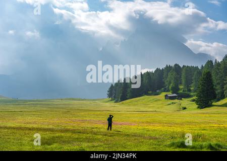 Ethereal green landscape with view of huts and trees on rolling hills and mountains hidden in fog at Sunrise of Alp De Suisi, Dolomites, Italy Stock Photo