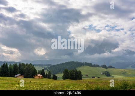 Ethereal green landscape with view of huts and trees on rolling hills and mountains hidden in fog at Sunrise of Alp De Suisi, Dolomites, Italy Stock Photo