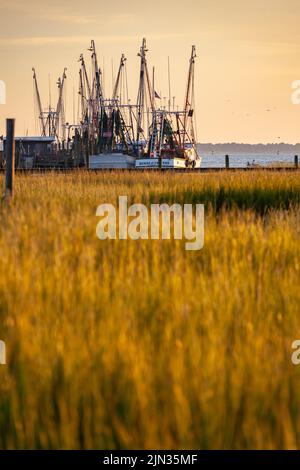 Shrimp boats tied up on Shem Creek at sunrise in Mount Pleasant, South Carolina Stock Photo