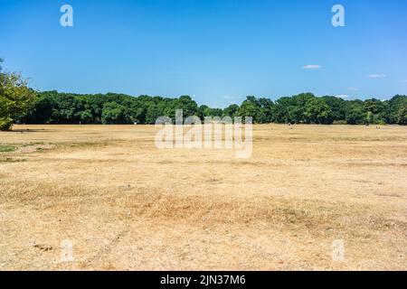 Southampton, Hampshire, UK. 8th of August 2022. Parched grass at the Common Park in Southampton during an unusual and prolonged period of dry weather during the heatwave summer 2022 in Southern England, UK