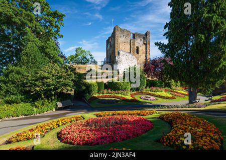 Early on an August morning in the colourful grounds of Guildford Castle, Surrey, England, UK Stock Photo