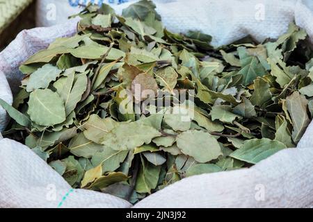Dried bay laurel leaves on display at street market in Morocco Stock Photo