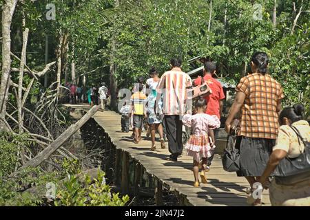 Villagers walking on a wooden walkway built above coastal wetland in Horale village, Seram Utara Barat, Maluku Tengah, Maluku, Indonesia. Stock Photo