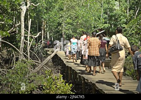 Villagers walking on a wooden walkway built above coastal wetland in Horale village, Seram Utara Barat, Maluku Tengah, Maluku, Indonesia. Stock Photo