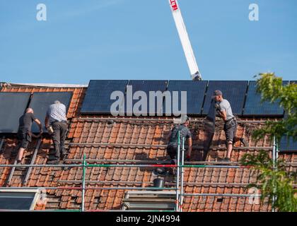 Sint Gillis Waas, Belgium, 08 August 2022, Four roofers are on the roof and remove solar panels Stock Photo