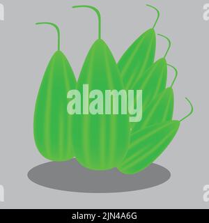 Pumpkin isolated on white background, ‍arts, illustrator arts Stock Vector