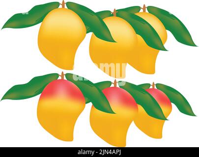 A pile of pink manngo sit, waiting to be sold, at a local farmers Stock Vector
