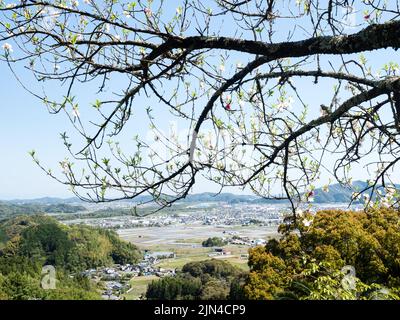View of rural areas around Kochi city with cherry trees blooming from the viewpoint at Kiyotakiji, temple number 35 of Shikoku pilgrimage - Kochi, Jap Stock Photo