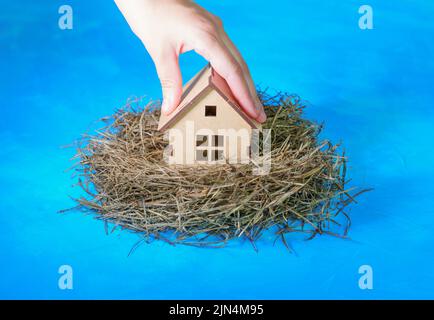 Hand placing a miniature wooden house in a hay nest isolated on blue background. Creative family house concept. Stock Photo