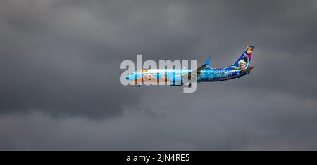 West Jet Airlines Airplane in the overcast sky. WestJet is a Canadian low-cost carrier and second-largest, behind Air Canada. WestJet plane Frozen the Stock Photo