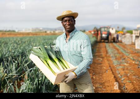 Portrait of positive farmer with crate of fresh leek Stock Photo