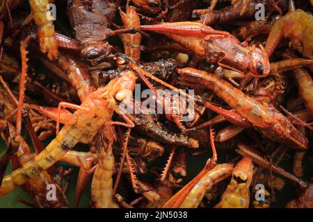 fried grasshopper or belalang goreng is traditional food from southeast asia, served with sambal, onion, garlic, chili on wood background Stock Photo