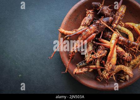 fried grasshopper or belalang goreng is traditional food from southeast asia, served with sambal, onion, garlic, chili on wood background Stock Photo