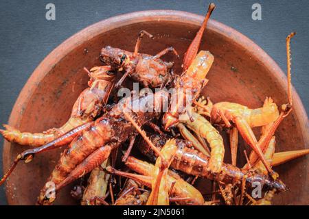 fried grasshopper or belalang goreng is traditional food from southeast asia, served with sambal, onion, garlic, chili on wood background Stock Photo