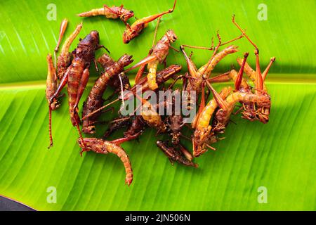 fried grasshopper or belalang goreng is traditional food from southeast asia, served with sambal, onion, garlic, chili on wood background Stock Photo