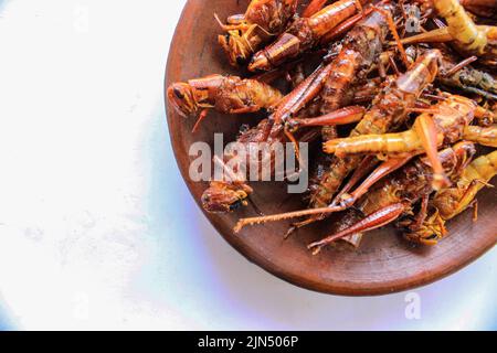 fried grasshopper or belalang goreng is traditional food from southeast asia, served with sambal, onion, garlic, chili on wood background Stock Photo