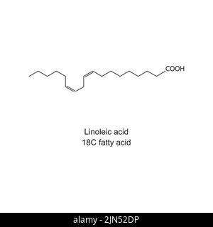 Linoleic acid (18 carbon fatty acid) chemical structure on white background. Stock Vector