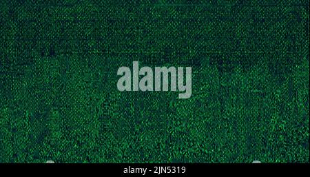 Image of interference over cryptocurrency text on black background Stock Photo