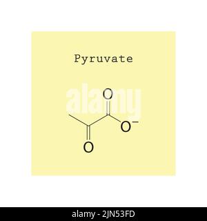 Pyruvate chemical structure on yellow background. Stock Vector