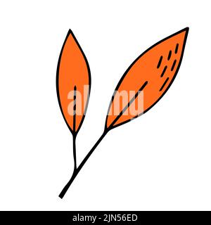Autumn leaf in doodle style. Hello, Autumn. Design or sticker. Isolated illustration. Vector Stock Vector